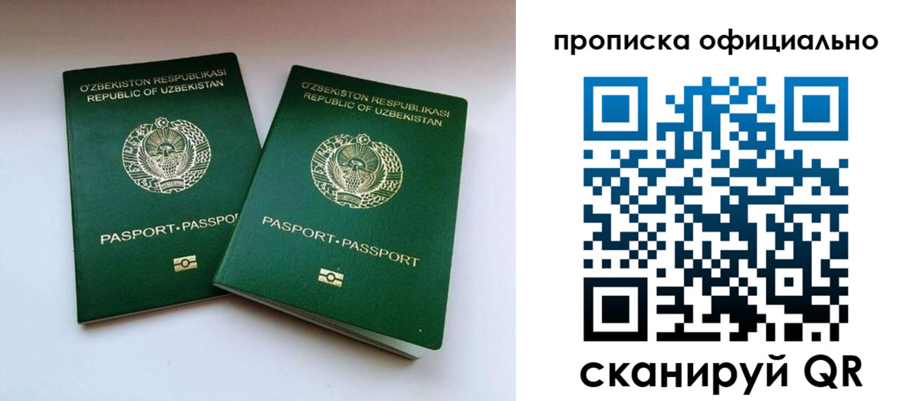 временная регистрация для школы в Ярославле